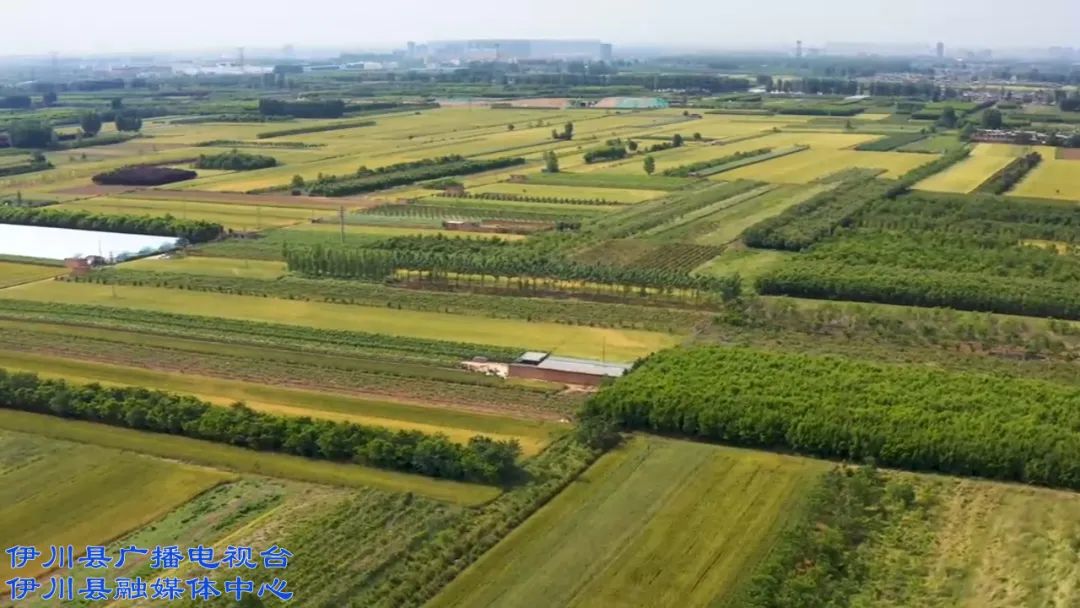 伊川富硒农产品（富硒农场产品）-硒宝网