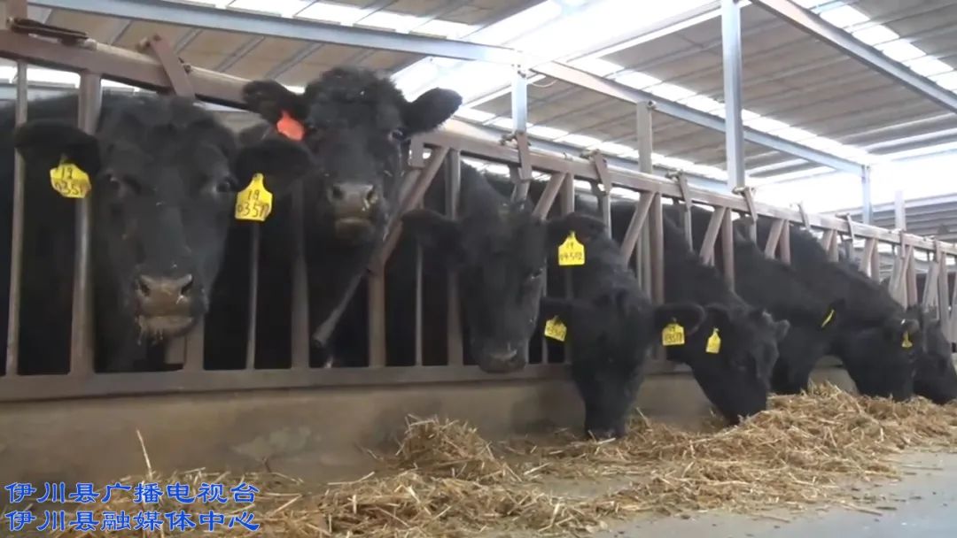 伊川富硒农产品（富硒农场产品）-硒宝网