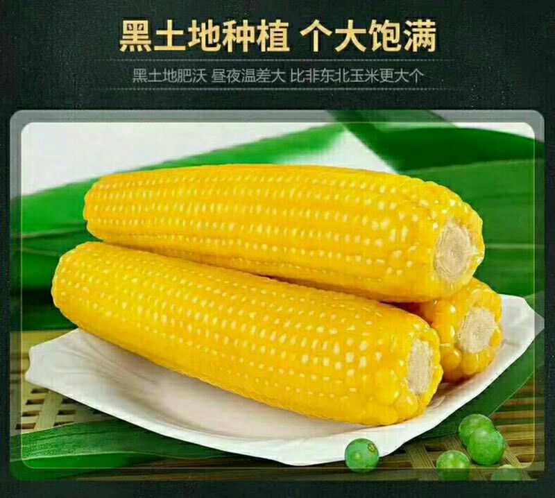 富硒农产品规范（国家富硒产品标准）-硒宝网