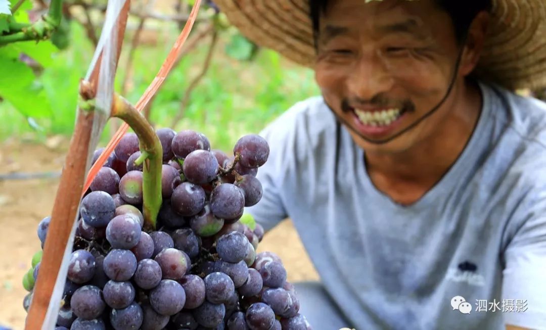 来宾富硒农产品（广西富硒）-硒宝网