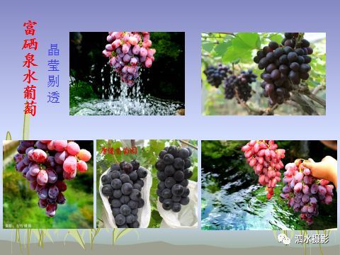 来宾富硒农产品（广西富硒）-硒宝网