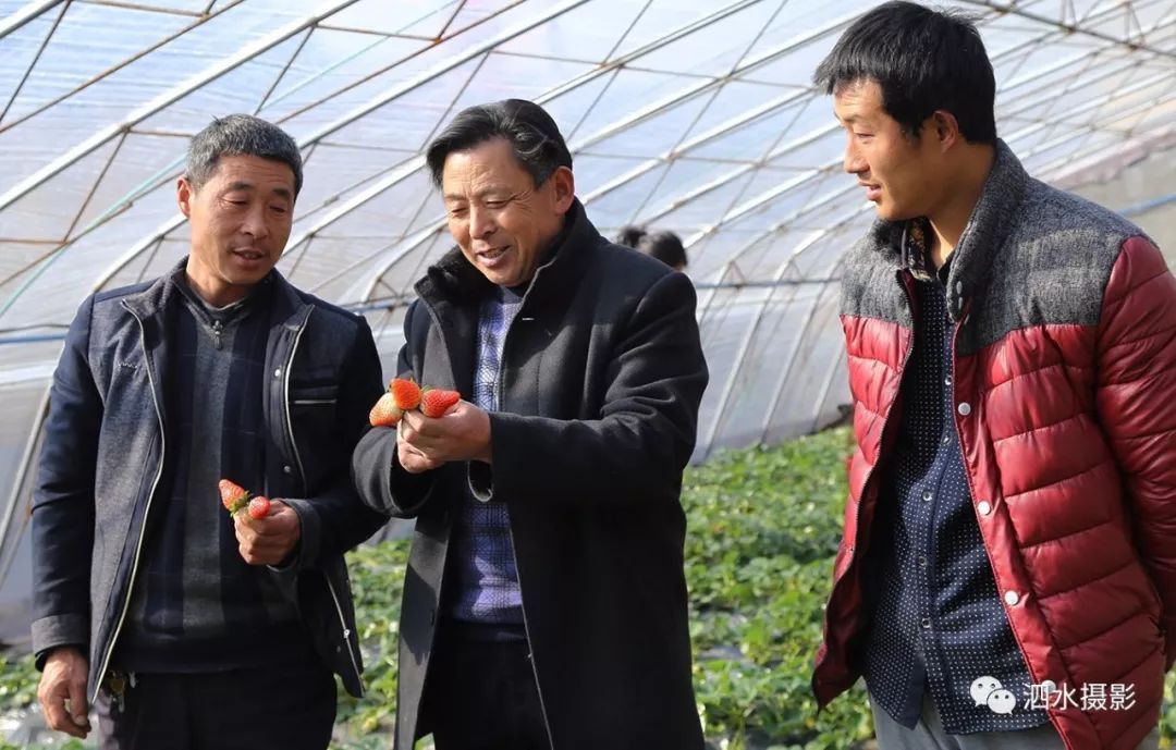 来宾富硒农产品（广西富硒）-硒宝网