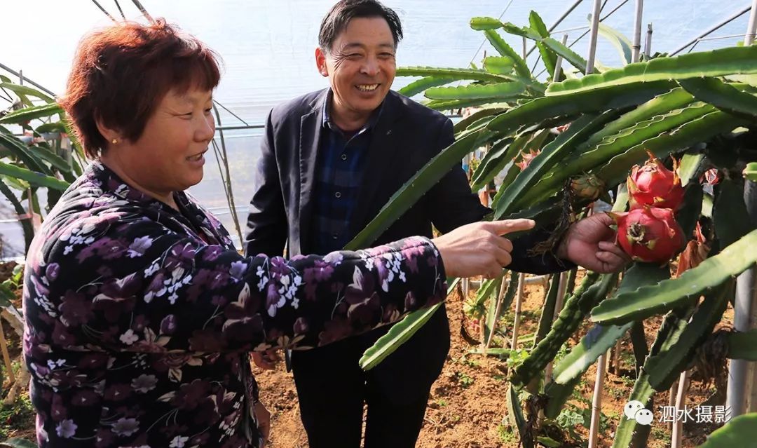 来宾富硒农产品（广西富硒）-硒宝网