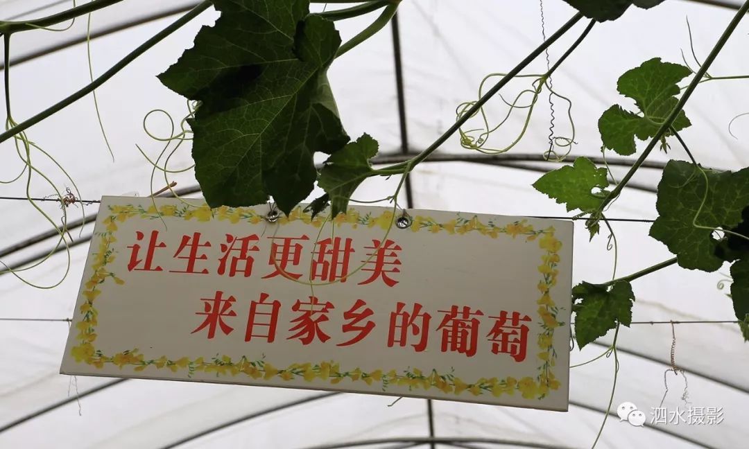 来宾富硒农产品（广西富硒）-硒宝网