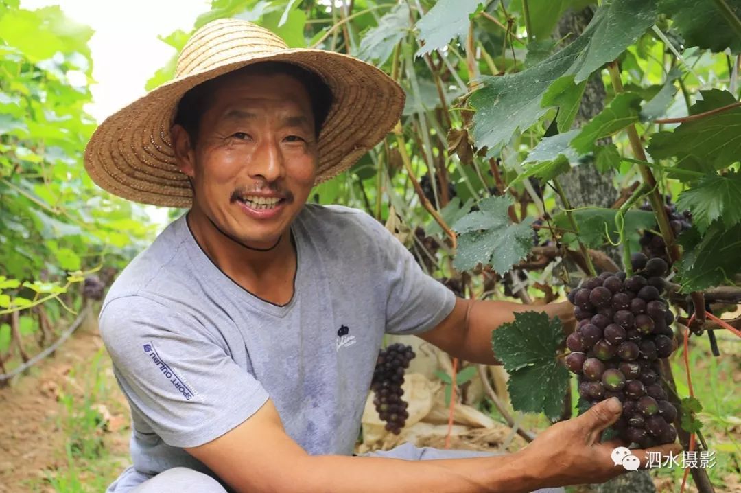 来宾富硒农产品（广西富硒）-硒宝网