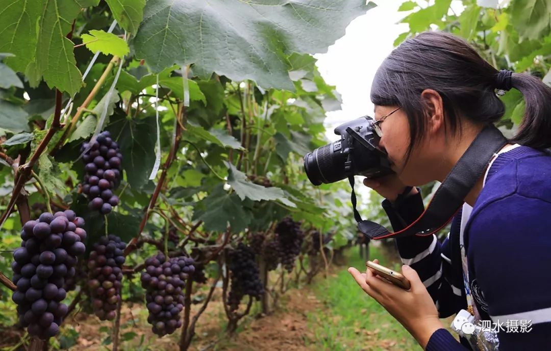 来宾富硒农产品（广西富硒）-硒宝网