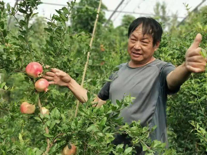 富硒农产品起名(富硒农产品是什么意思)-硒宝网