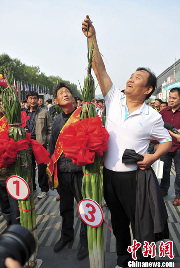 富硒农产品取名（取名农富硒产品有哪些）-硒宝网