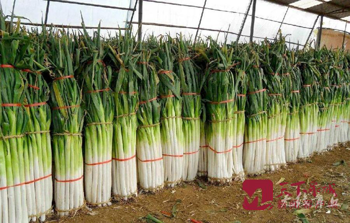 富硒农产品取名（取名农富硒产品有哪些）-硒宝网