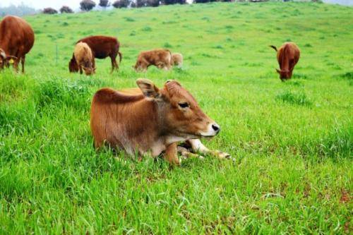 湘西富硒农产品（湘西富硒带）-硒宝网