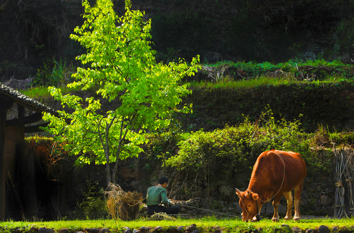 湘西富硒农产品（湘西富硒带）-硒宝网