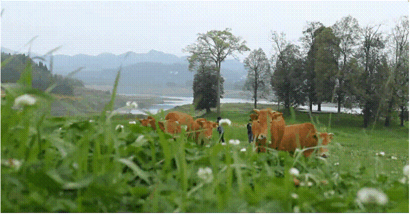 湘西富硒农产品（湘西富硒带）-硒宝网