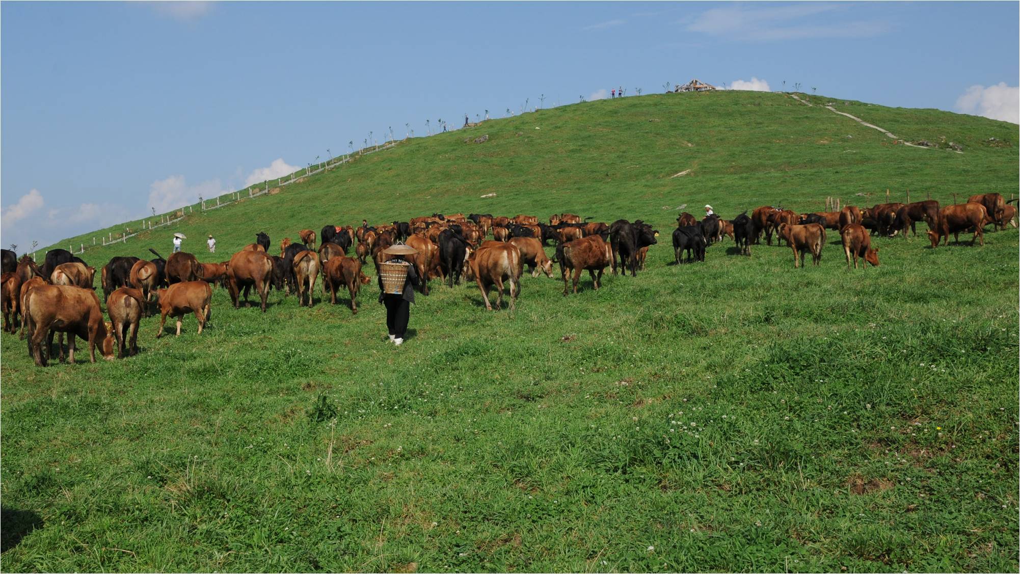湘西富硒农产品（湘西富硒带）-硒宝网