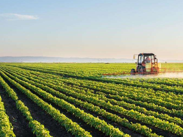 富硒农产品政策(富硒农产品产业链)-硒宝网