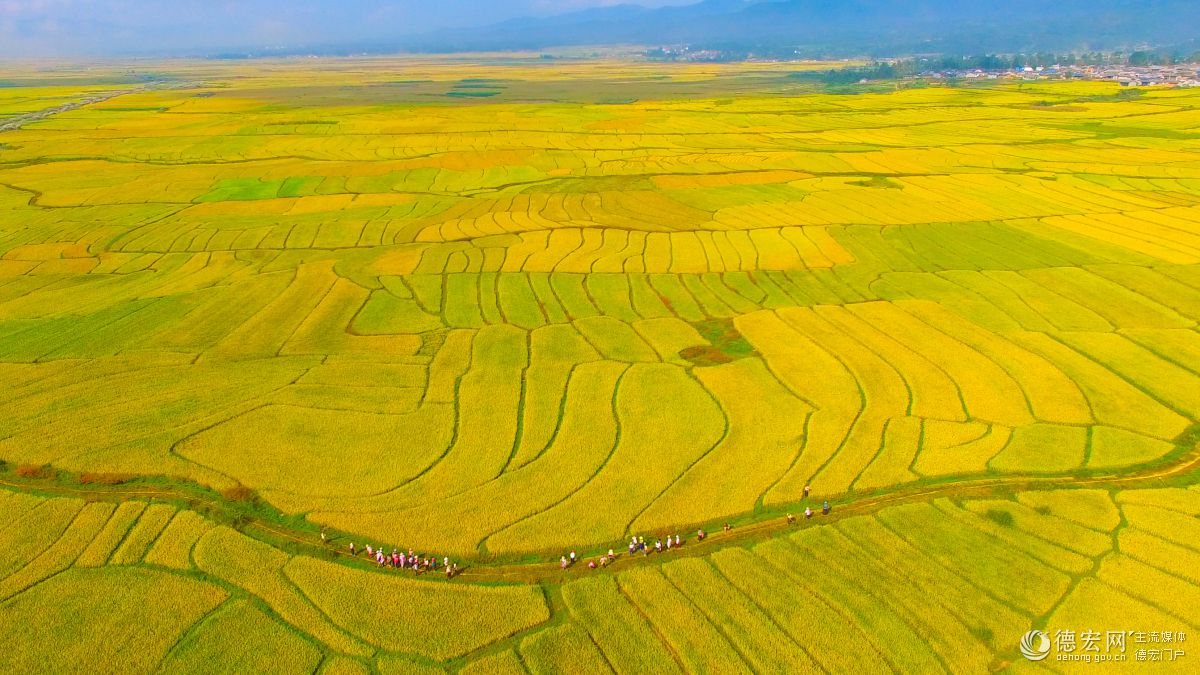 富硒农产品政策(富硒农产品产业链)-硒宝网