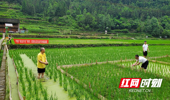 来宾富硒农产品(广西富硒农业研究中心)-硒宝网