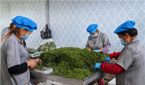 富硒农产品取名（取名农富硒产品好不好）-硒宝网