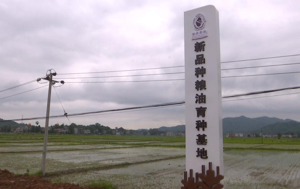 守存富硒农产品（富硒产品有哪些）-硒宝网