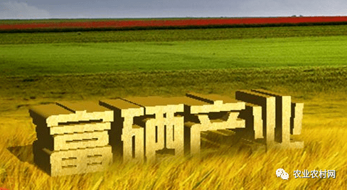 守存富硒农产品（禾存富硒麦芽粉价格）-硒宝网