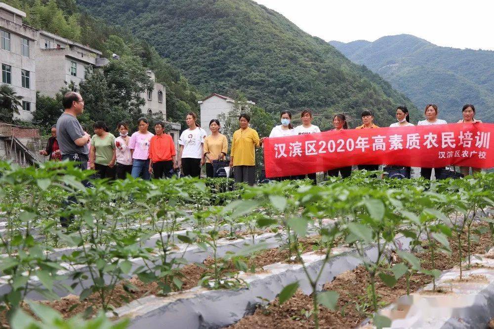 汉滨富硒农产品（富硒农业）-硒宝网