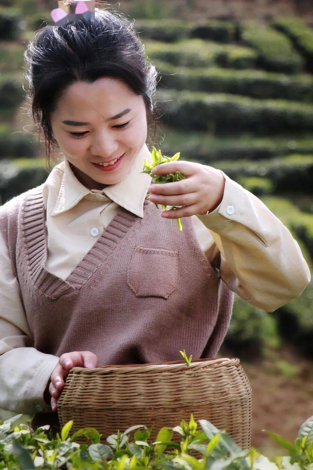 汉滨富硒农产品（富硒农业）-硒宝网