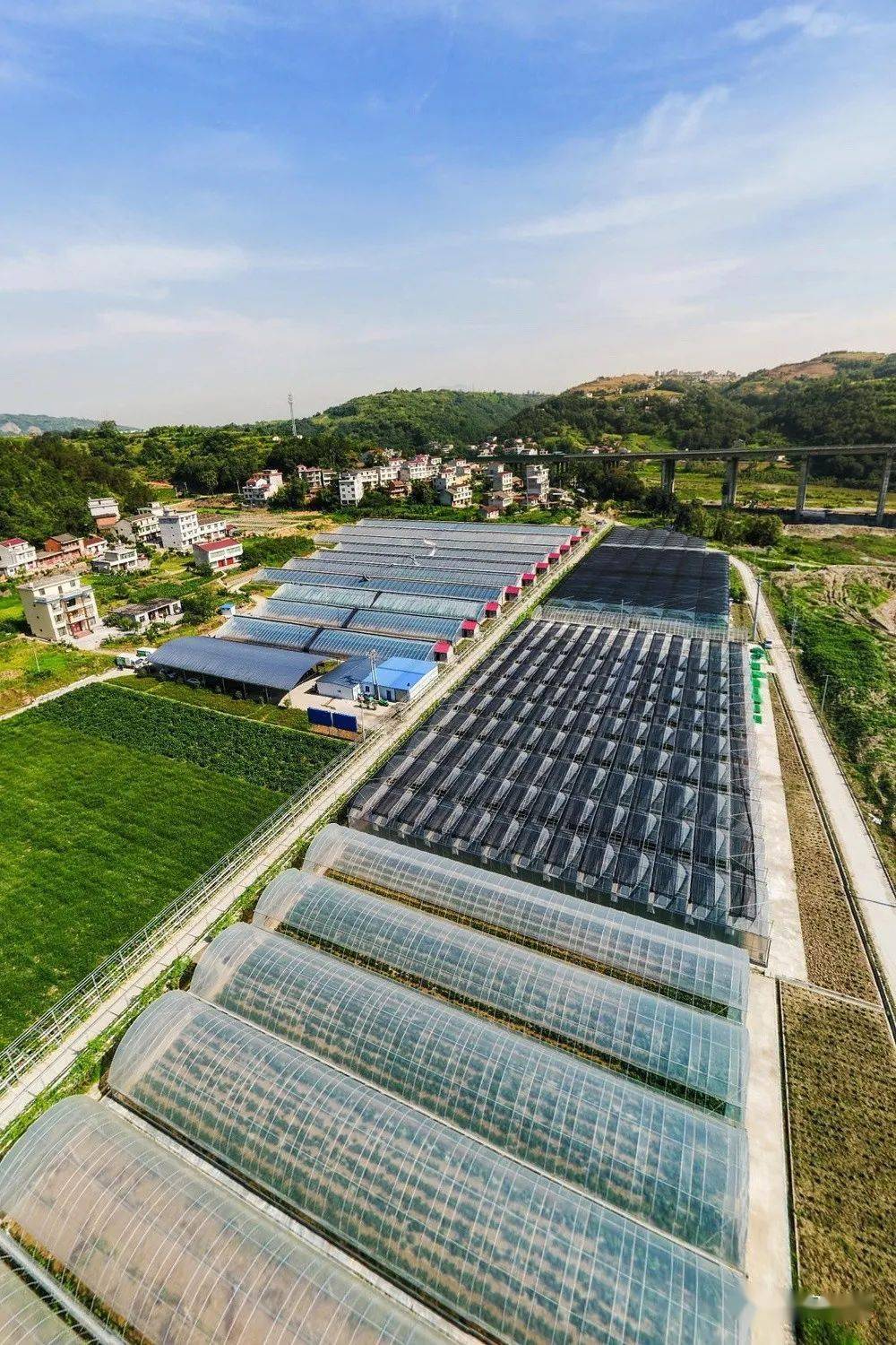 汉滨富硒农产品（富硒农业）-硒宝网