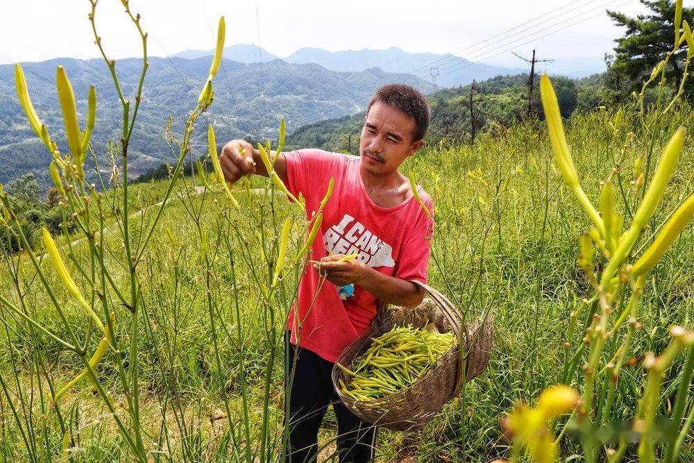 汉滨富硒农产品（富硒农业）-硒宝网