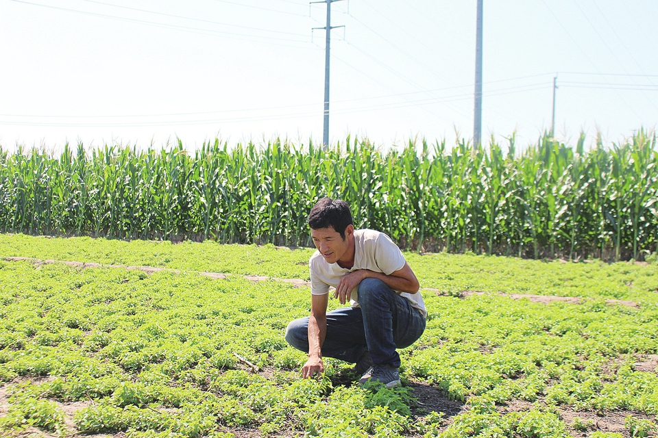三益富硒农产品(三益农业倒闭)-硒宝网