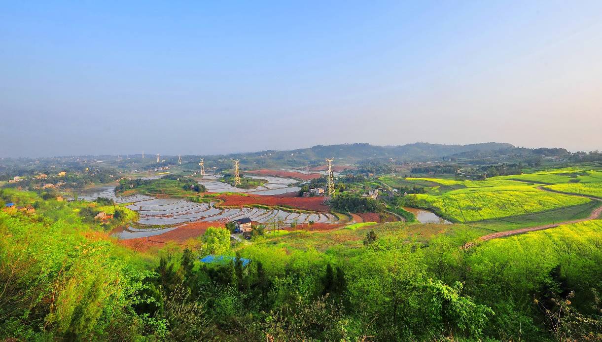 邢谷富硒农产品(邢农谷富硒产品介绍)-硒宝网