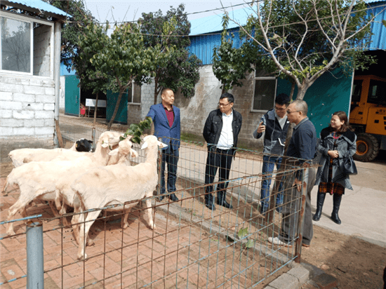 沪行富硒农产品（富硒农业app）-硒宝网