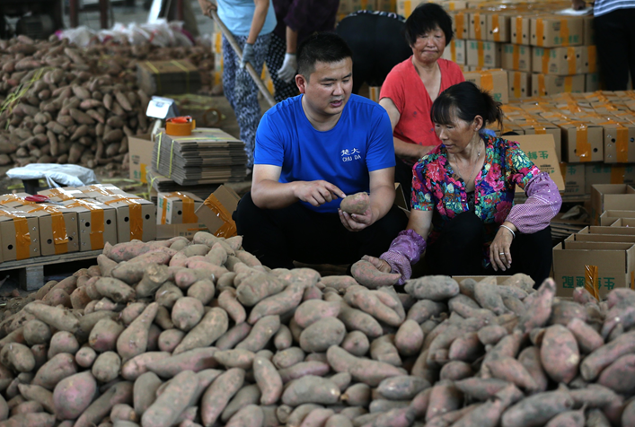网购富硒农产品（网购农富硒产品是正品吗）-硒宝网
