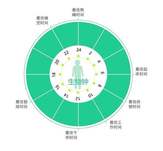 富硒农产品种植（富硒农业）-硒宝网