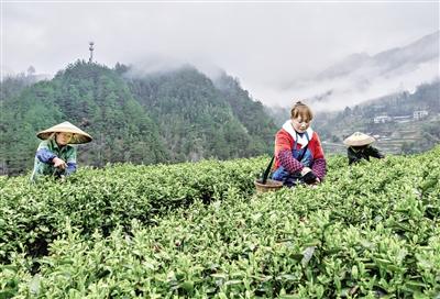 益统富硒农产品(益农官网)-硒宝网