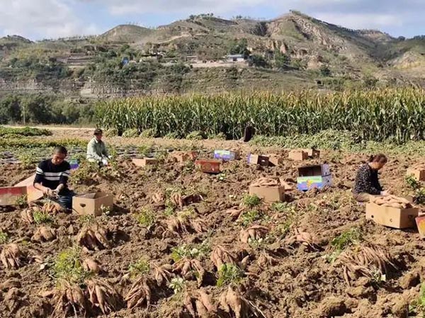 绿源富硒农产品（富硒生态农业）-硒宝网