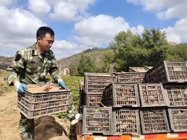 绿源富硒农产品（富硒生态农业）-硒宝网