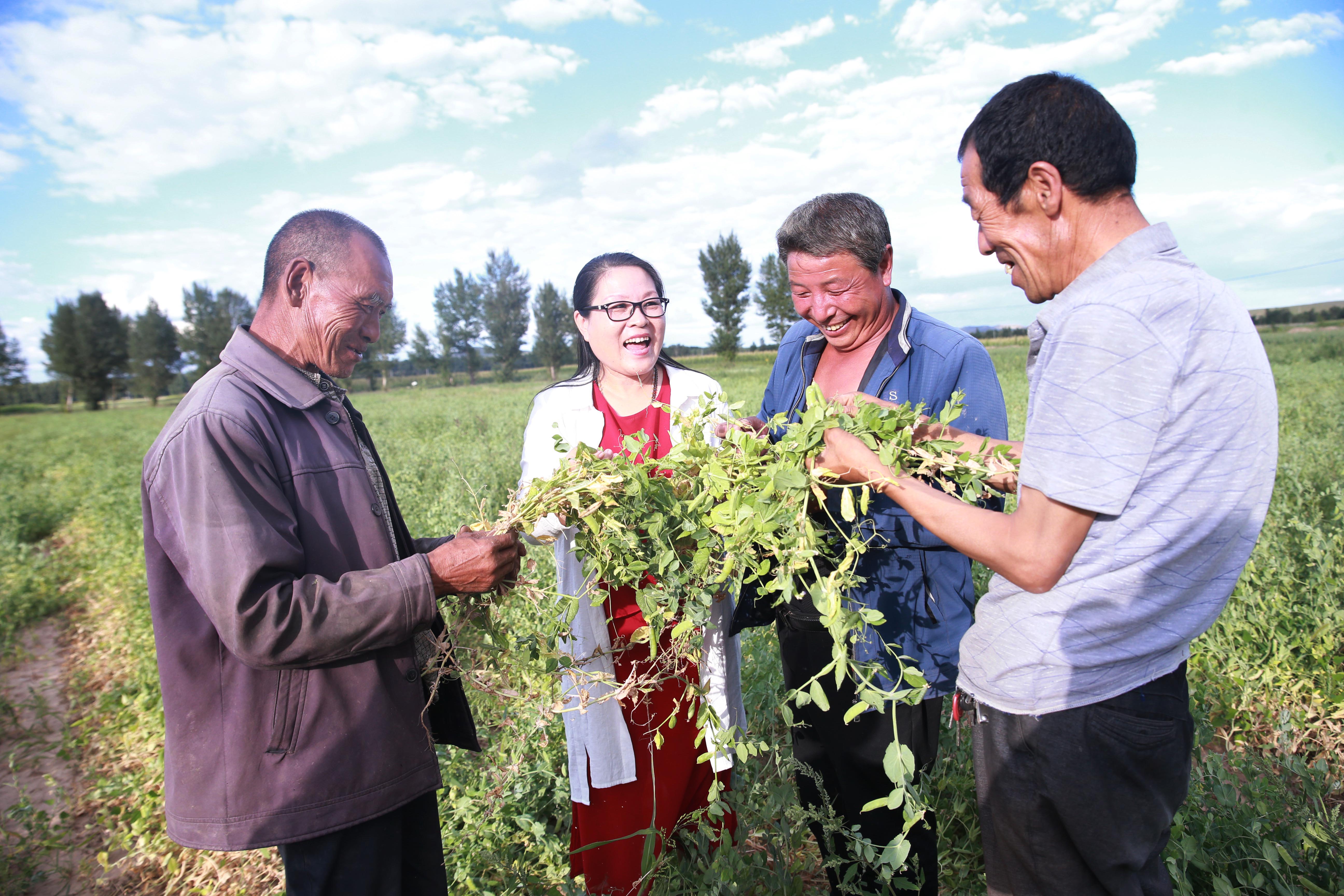 澄迈富硒农产品(澄迈富硒食品)-硒宝网