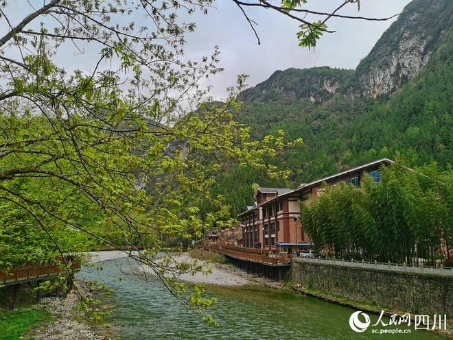 富硒茶万源产品(茶富硒万源产品介绍)-硒宝网