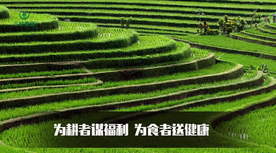 崖门富硒农产品(富硒农产品产业链)-硒宝网