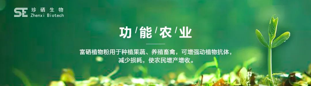 富硒农产品价格(富硒农产品销售平台)-硒宝网