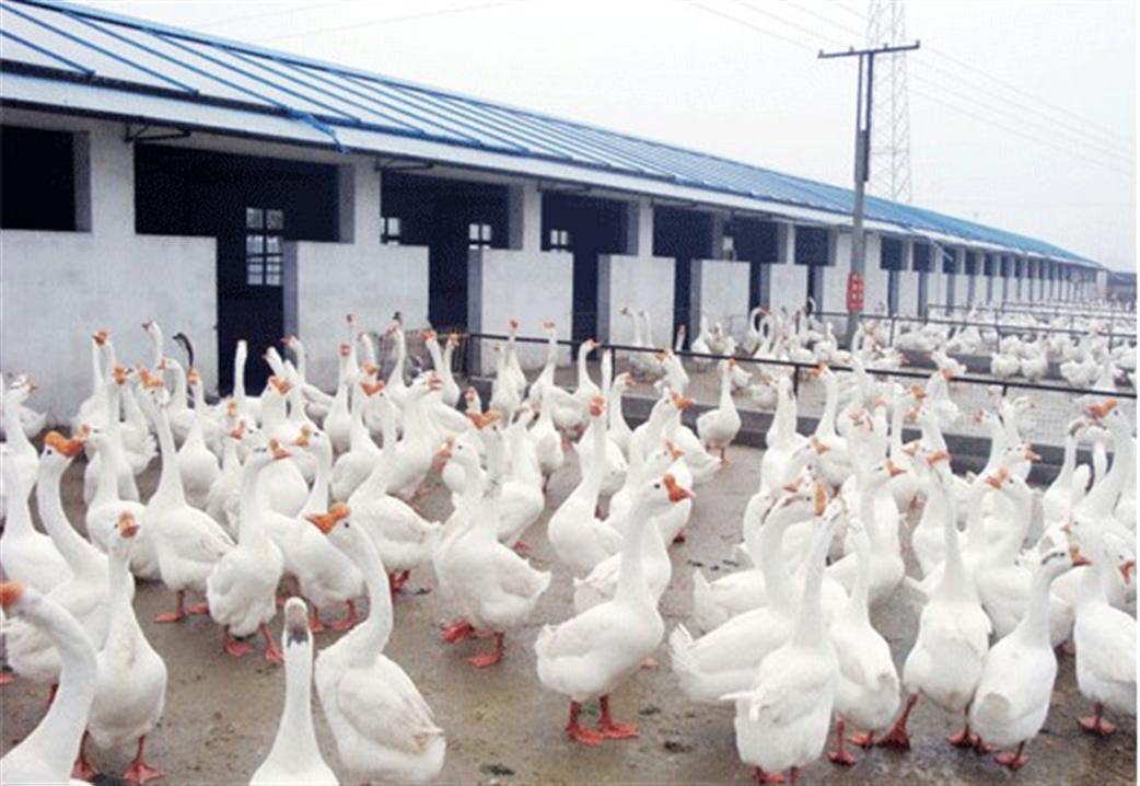 绿源富硒农产品（农科院富硒源粉）-硒宝网