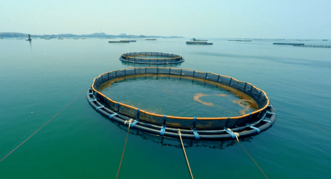 富硒水产品产量（富硒农产品产地）-硒宝网