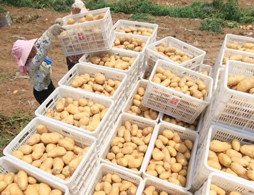 富硒农产品之美（富硒农场产品）-硒宝网