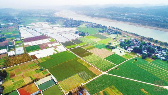 富硒农产品目标(富硒农业)-硒宝网