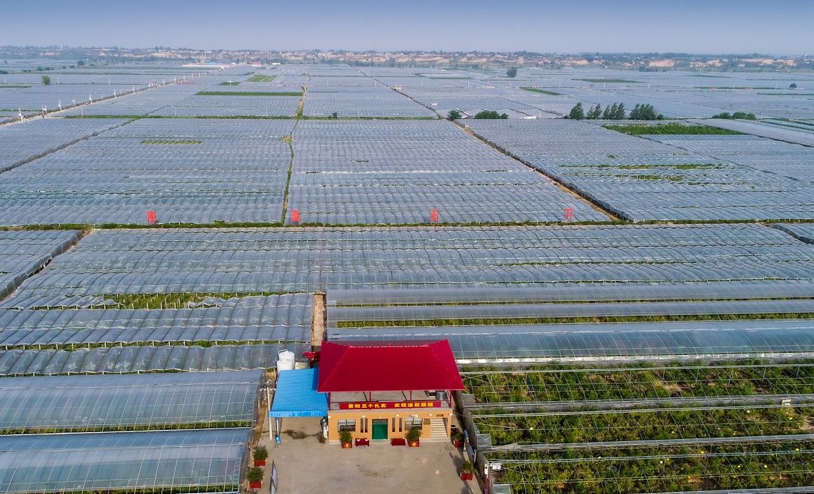 富硒农产品目标(富硒农业)-硒宝网