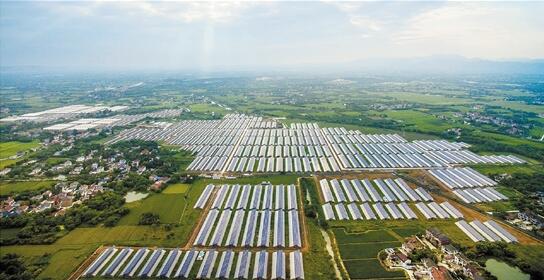 富硒农产品目标(富硒农业)-硒宝网