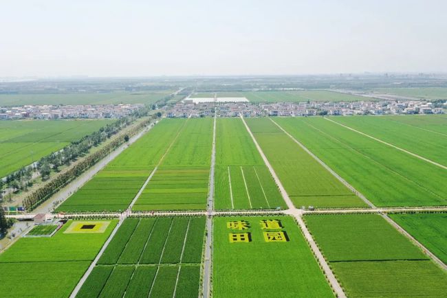 富硒农产品目标(富硒农业)-硒宝网