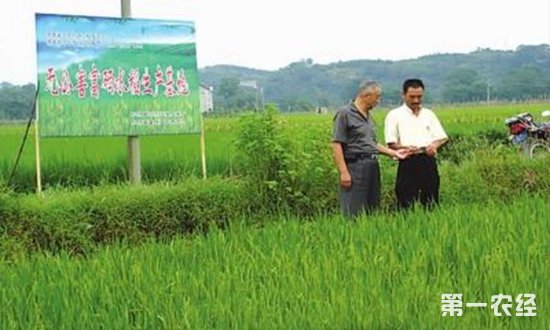 富硒农产品代理（富硒农产品专营）-硒宝网