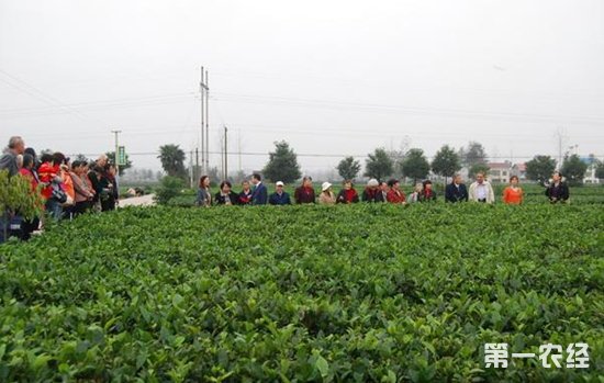 富硒农产品代理（富硒农产品专营）-硒宝网