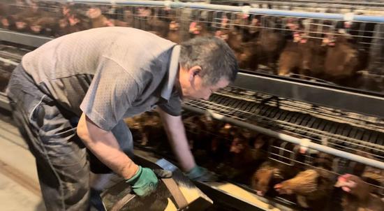 富硒农副产品的(农副富硒产品有哪些)-硒宝网