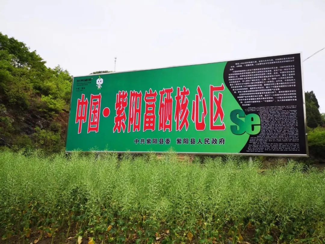 外源富硒农产品(外源富硒食品)-硒宝网